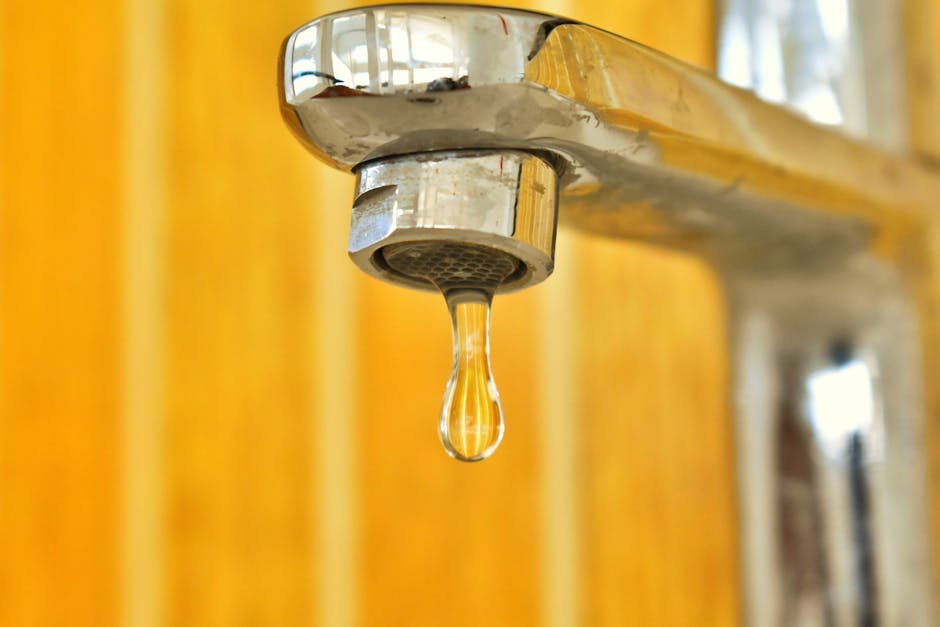 Save Money and Water: Your Simple Guide to Fixing a Leaking Kitchen Faucet